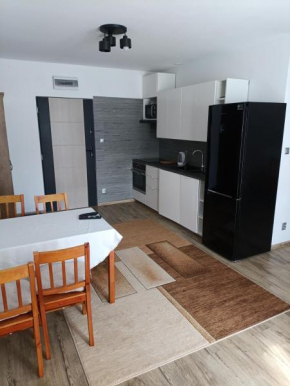 Apartament Przylesie Delowo